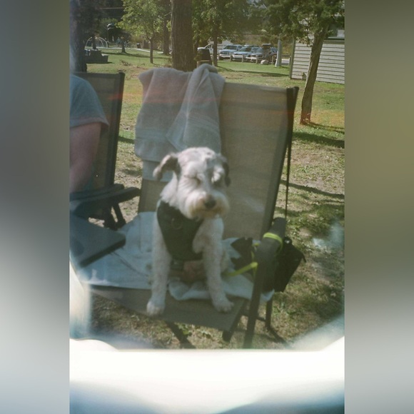 Read Description: Olympus Mju:II - Picture 12 of 15